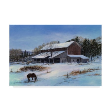 John Morrow 'In A Winter Blue' Canvas Art,16x24